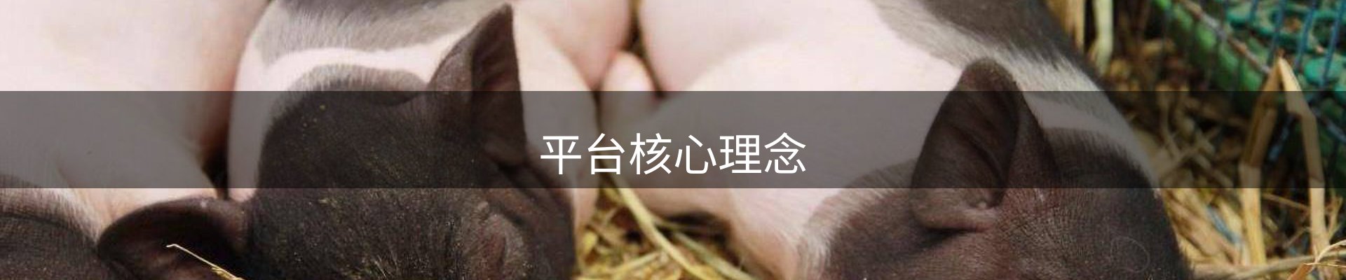 平台核心理念